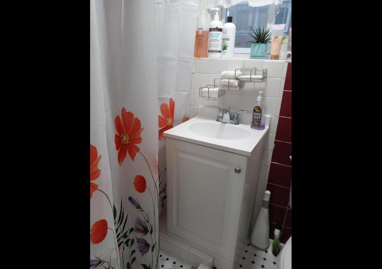 "Cozy Basement Retreat Just 40 Minutes To Nyc!" Apartman Irvington Kültér fotó